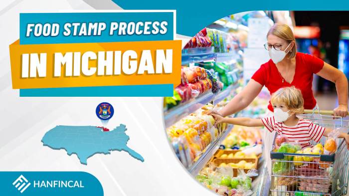 how do i get food stamps in michigan