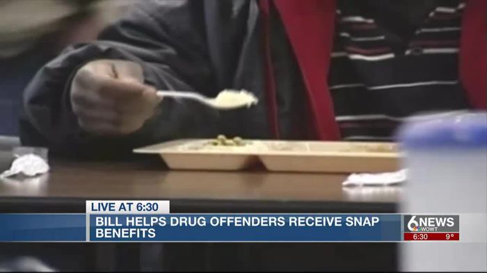 can convicted felons get food stamps in nc