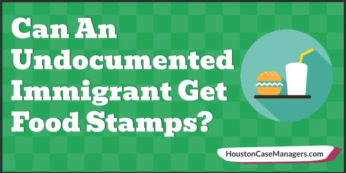 can an illegal immigrant get food stamps