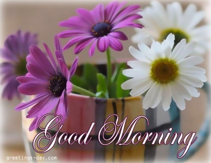 good morning message flowers terbaru