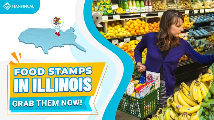 how do i get food stamps in illinois terbaru