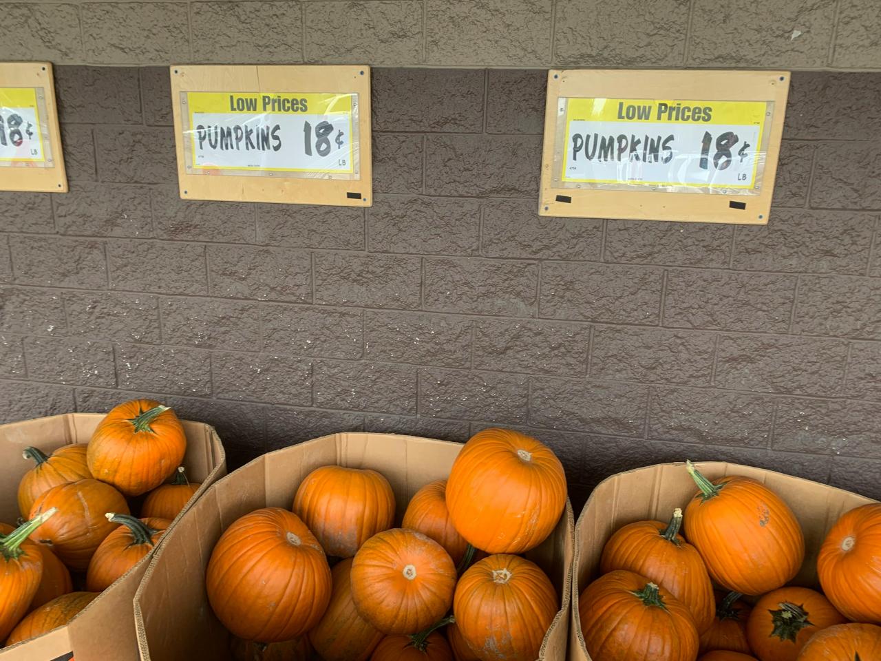 can you buy a pumpkin on food stamps