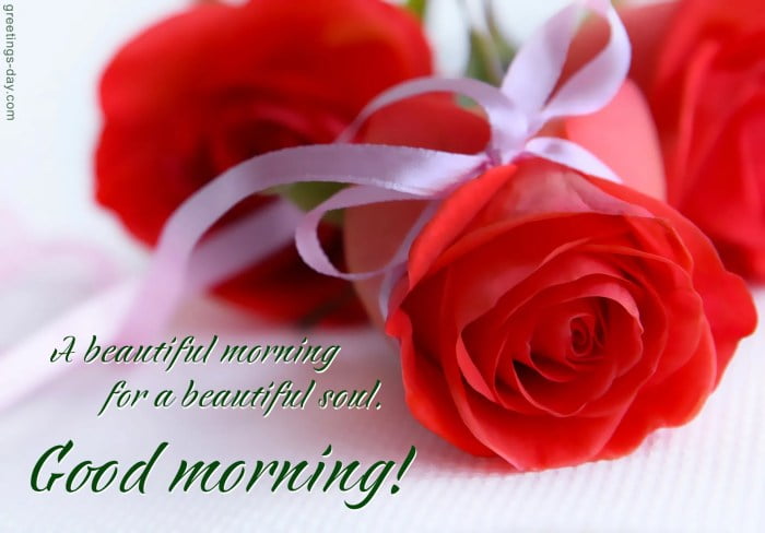 good morning message flowers