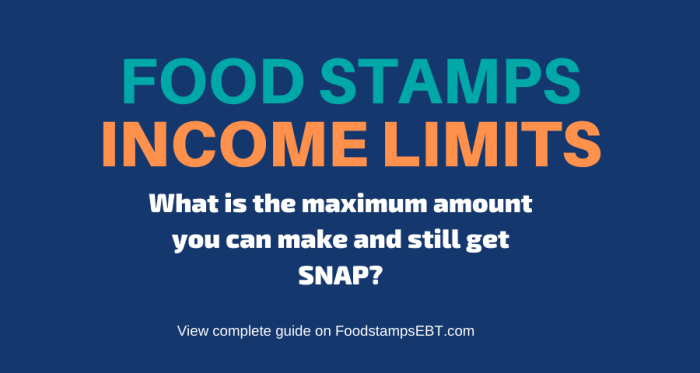 does ssi count as income for food stamps terbaru